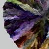 hash_0x3c8c62e27c103eed5eeea4328129c79c8c4e904b58a3b1f0dd22f16f168eb40d_id_1000040_time_21s_OKLAB-CHL_Cool_Cats_0.11.0