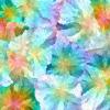 hash_0x03206713819e0cd4e19ca77b1a107199162558cd9c6a2e0b0f31fe0eaa4015df_id_1001050_time_38s_OKLAB-CHL_Magenta_Rose_Zinnia_Deadhead_0.11.0