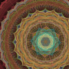 sheep_247_32664_6